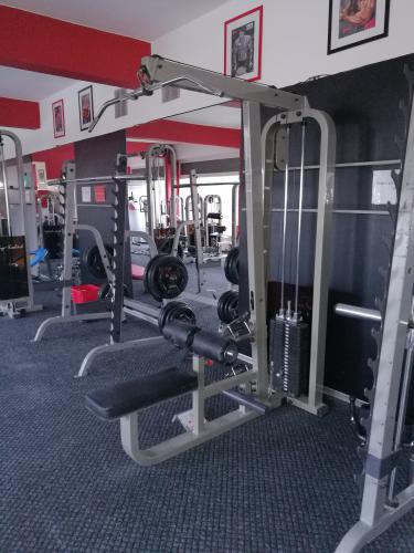 Posilovací stroj Body-Solid Horní+spodní kladka