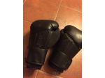 Boxersk rukavice Hayabusa 14-OZ