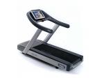 TECHNOGYM EXCITE RUN 700 TV / PROFESIONLN B̎ECK PS