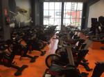 Life Fitness, Cybex, Matrix, Technogym