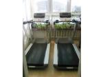 Beck ps Treadmill 9.33 Precor