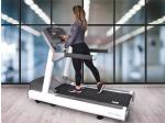 Beck ps LIFE FITNESS 95Ti Integrity