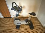 Profesionln rotoped Technogym