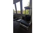 Life Fitness Strength � Lying Leg Curl / zakop�v�n� vle�e