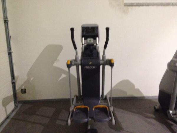 PRECOR AMT100i