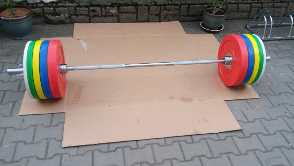 Osa olympíjská nosnost 350 kg 4