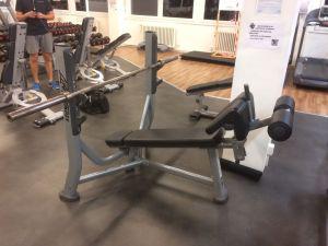 Lifefitness bench press hlavou dol