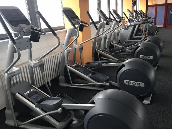 Prodam komplt fitness stroje, znacka precore, freemotion