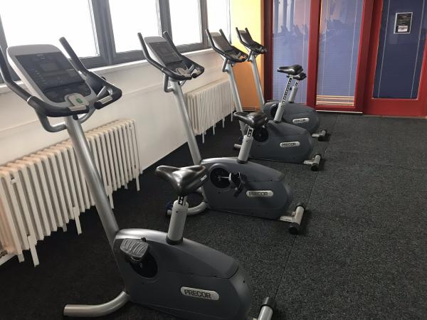 Prodam komplt fitness stroje, znacka precore, freemotion