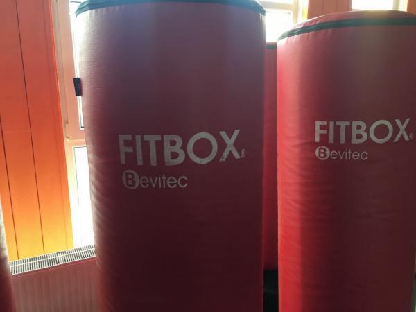 Prodáme originální Fitbox totémy
