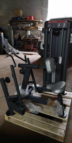 Ptahy v sed - Panatta rowing machine