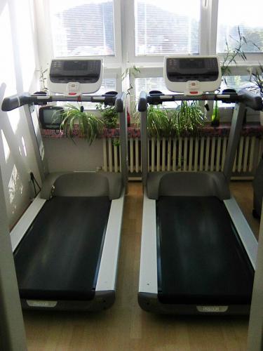 Precor beck ps Treadmill 9.34