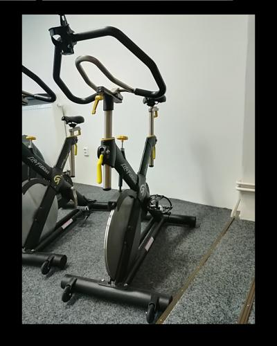 Life fitness - spinning kolo life fitness lemond