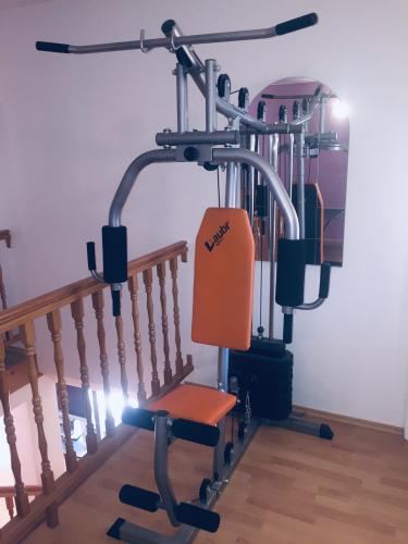 Posilovací věž Laubr Sport MG 4000