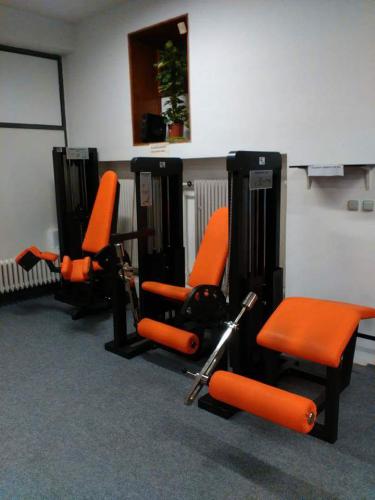 Prodej vybavení fitness