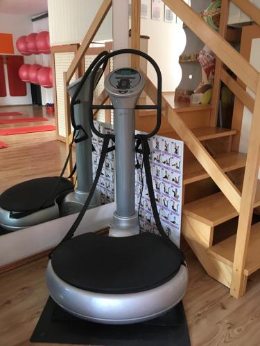 Prodm VIBRATION TRAINER