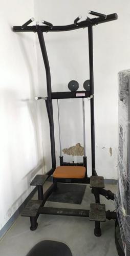 Assist Dip Chin selectorized body building equipment