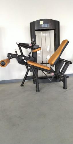 Seated Leg Extension selectorized exercise machine