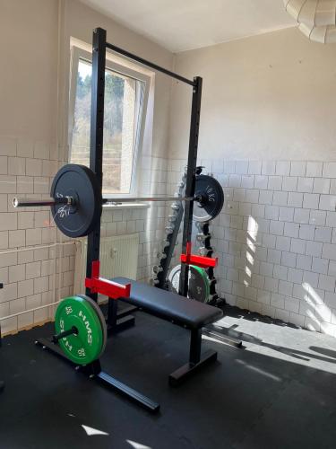 Stojan na depy + osa + kotoue 100 Kg