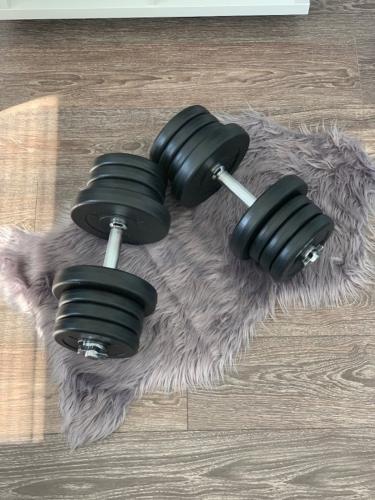 činky 2x15kg za 1350,-Kč