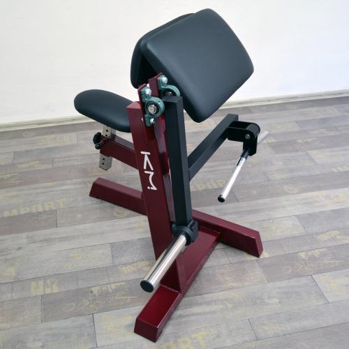 Biceps v sedě s kotoučovou zátěží (profi)