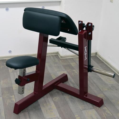 Biceps v sedě s kotoučovou zátěží (profi)