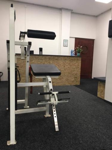 Prodm extenzi LifeFitness