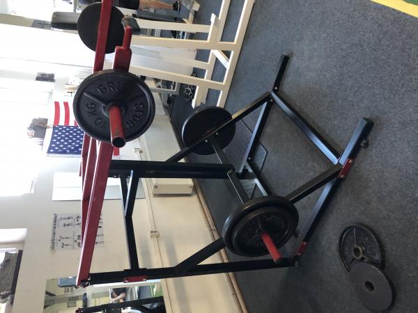 Viking press