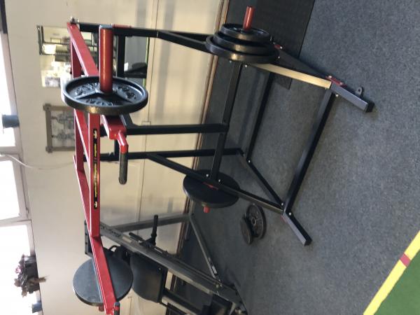 Viking press