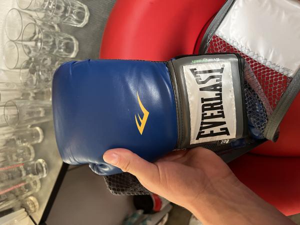 Boxerské rukavice Everlast NOVÉ