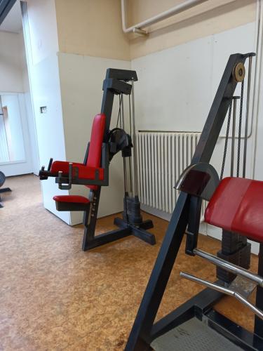 Prodej Fitness vybaven - GRN SPORT