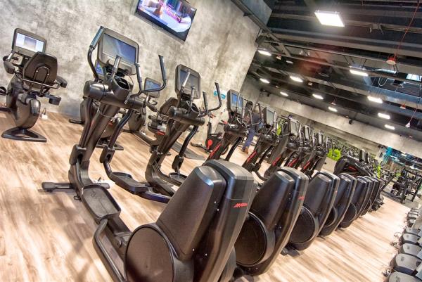 Life Fitness Discover Se balek x 42