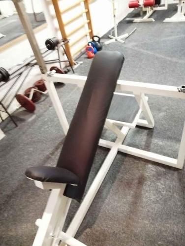 Profi Bench press