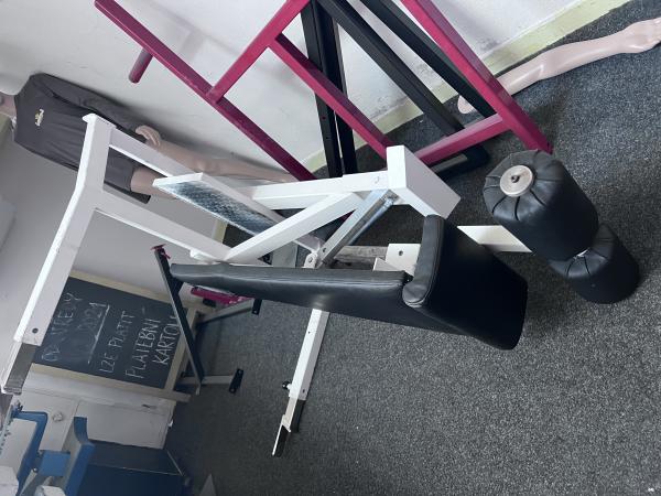 Viking press, unoovn a benchpress hlavou dol Grnsport