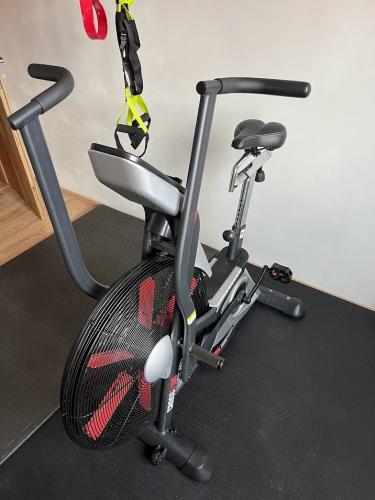 Rotoped Air Bike BH FITNESS Cross 1100