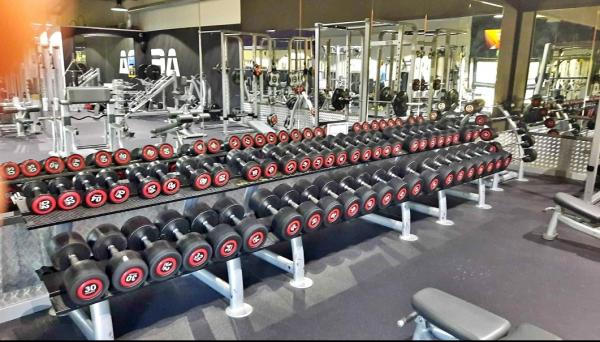 Sada jednoruček Life fitness