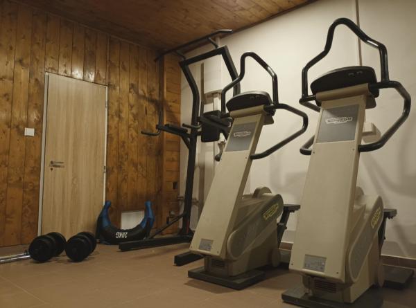 Technogym Step XT