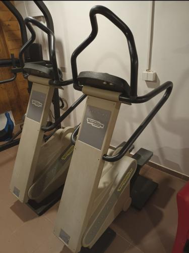 Technogym Step XT