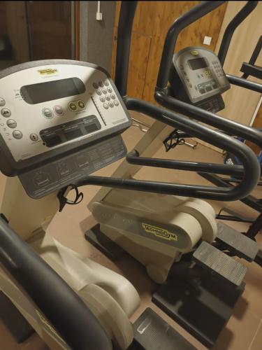 Technogym Step XT