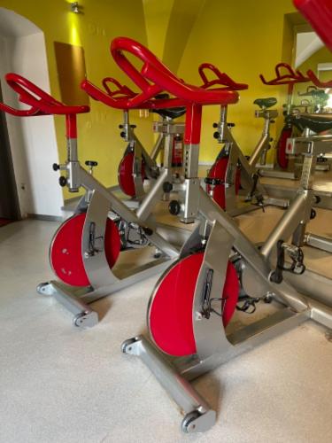 Profesionln kolo GRN SPORT spinning / indoor cycling