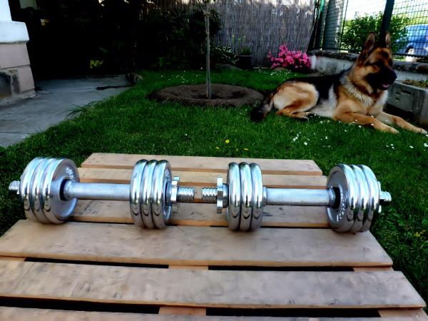Jednoručky činky 2x10kg za 1990,- CHROM