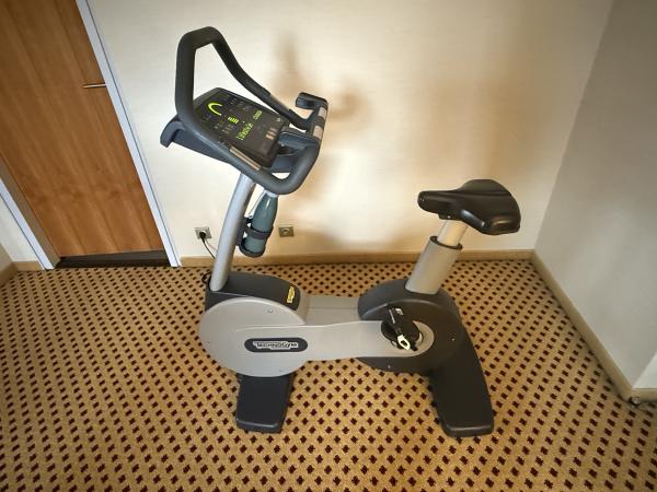 Profesionální rotoped Technogym