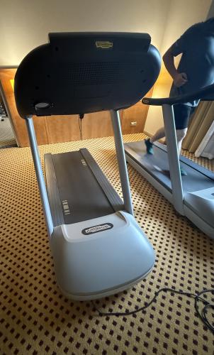 Běžecký pás Technogym - profesionální