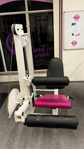 Prodám profesionální posilovací stroje