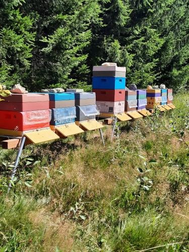 Nabdka med z jinch ech