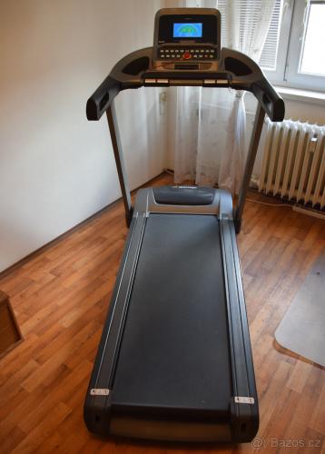 Robustn� b�eck� p�s Sportago Norma - jako nov�