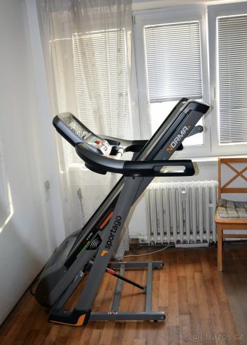 Robustn� b�eck� p�s Sportago Norma - jako nov�