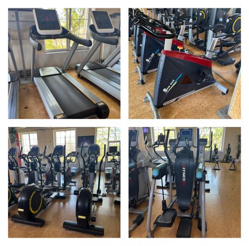 Profi b�eck� p�s