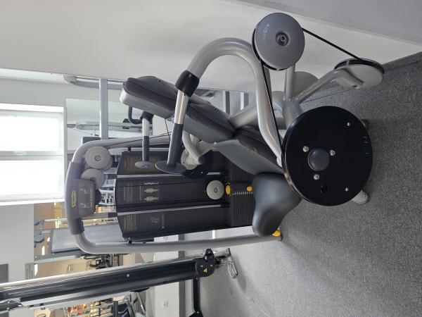 Technogym Arm Extension