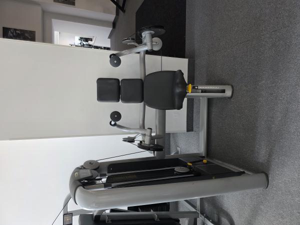 Technogym Arm Extension